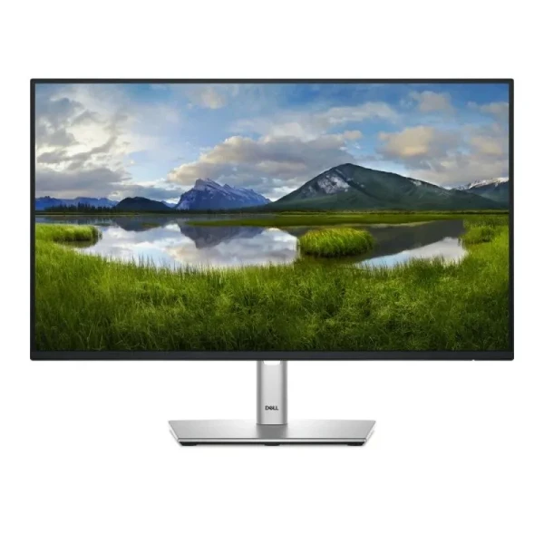 MONITOR DELL P2425H 24